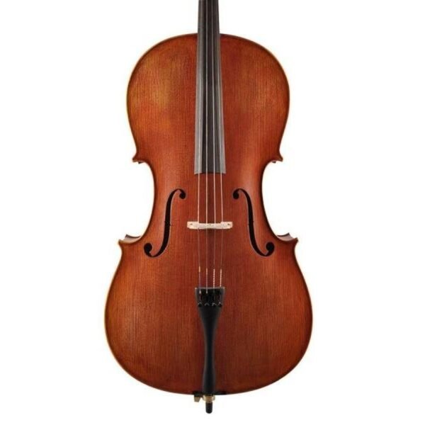 Leonardo LC-2744-M violon 4/4 avec housse et archet